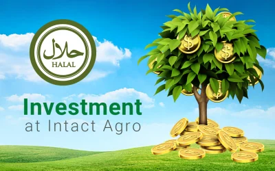 Safe & Halal Investment for Agricultural Development